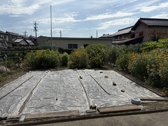IMG_5204001